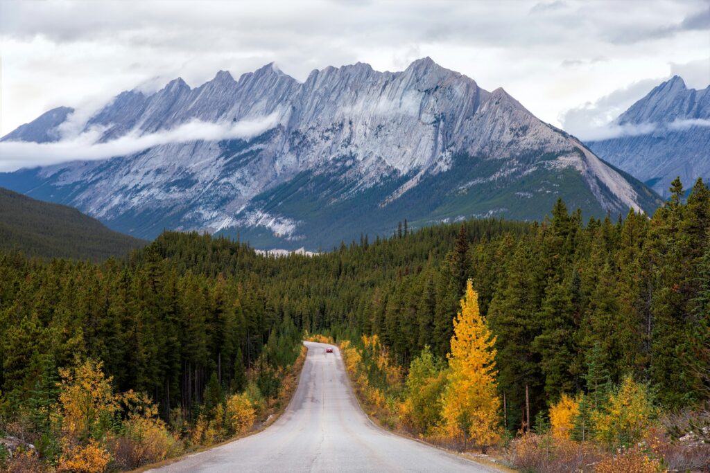 Jasper National Park 1