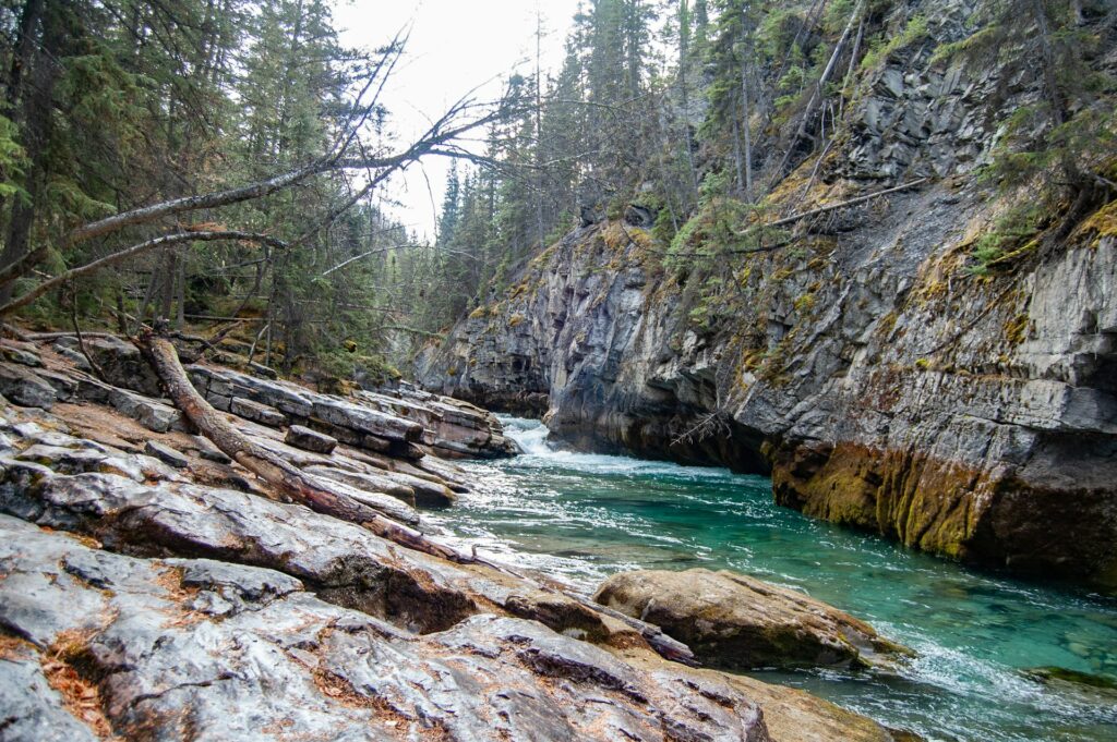 Jasper National Park Maligne Canyon