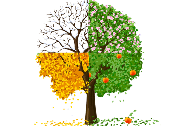 Weather and season guide Canada 1