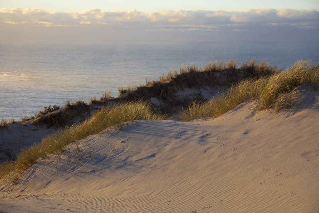 Top 10 Nationale Parken in Canada Cavendish Beach