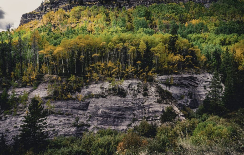 Top 10 Nationale Parken in Canada Pacific Rim National Park Reserve