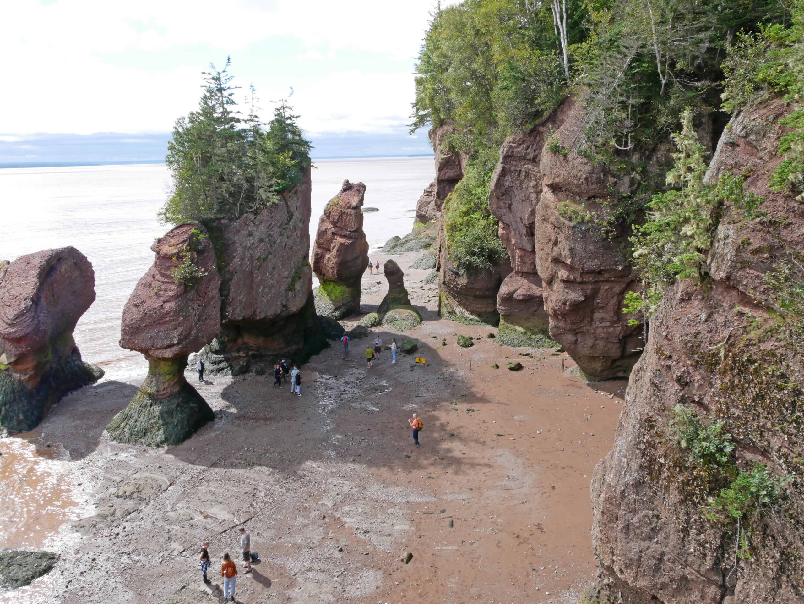 De Canada Specialist3