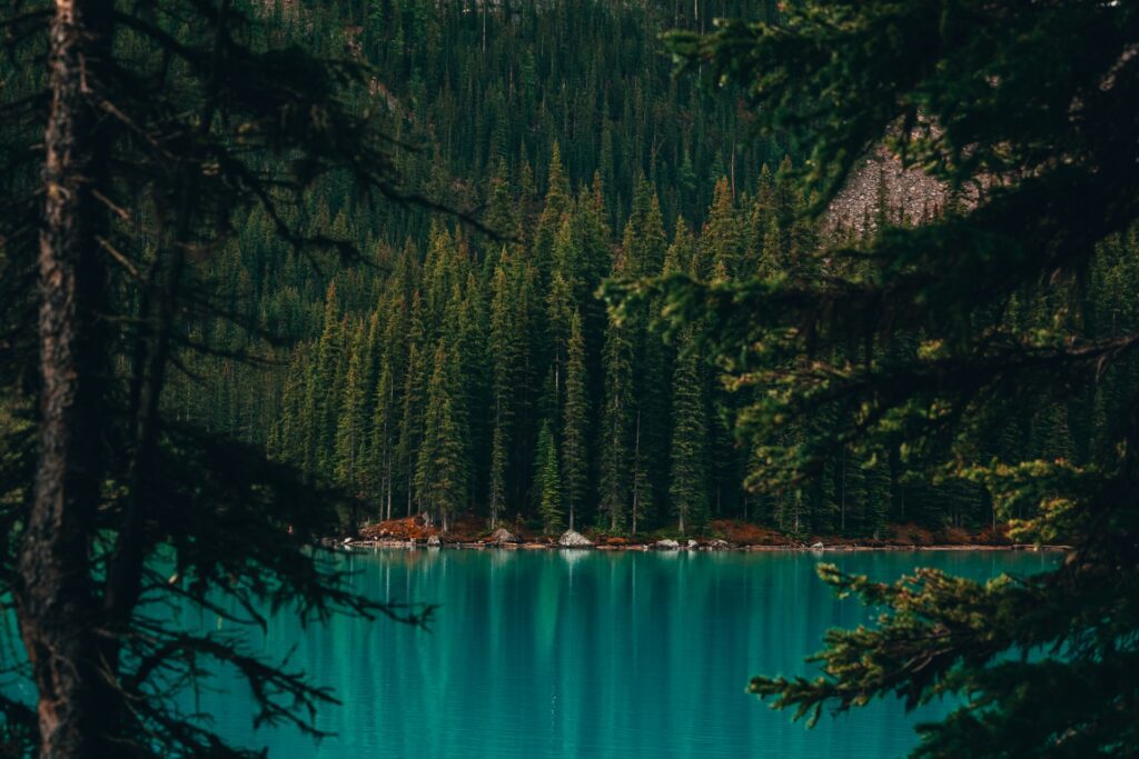 Avontuurlijke routes door de Canadese Rockies 3
