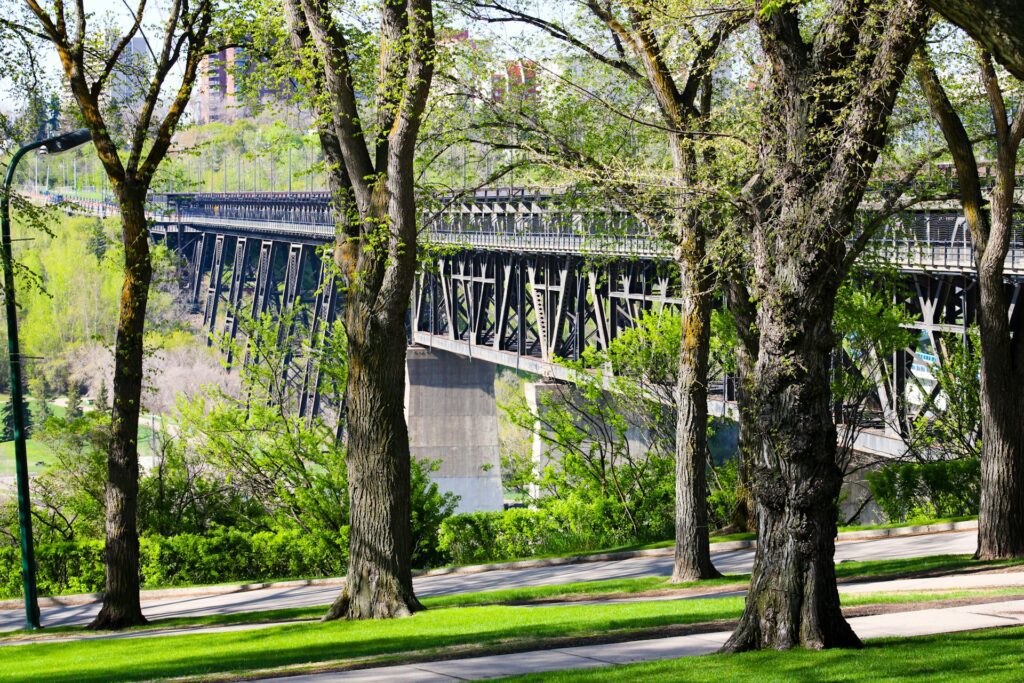 Edmonton 1