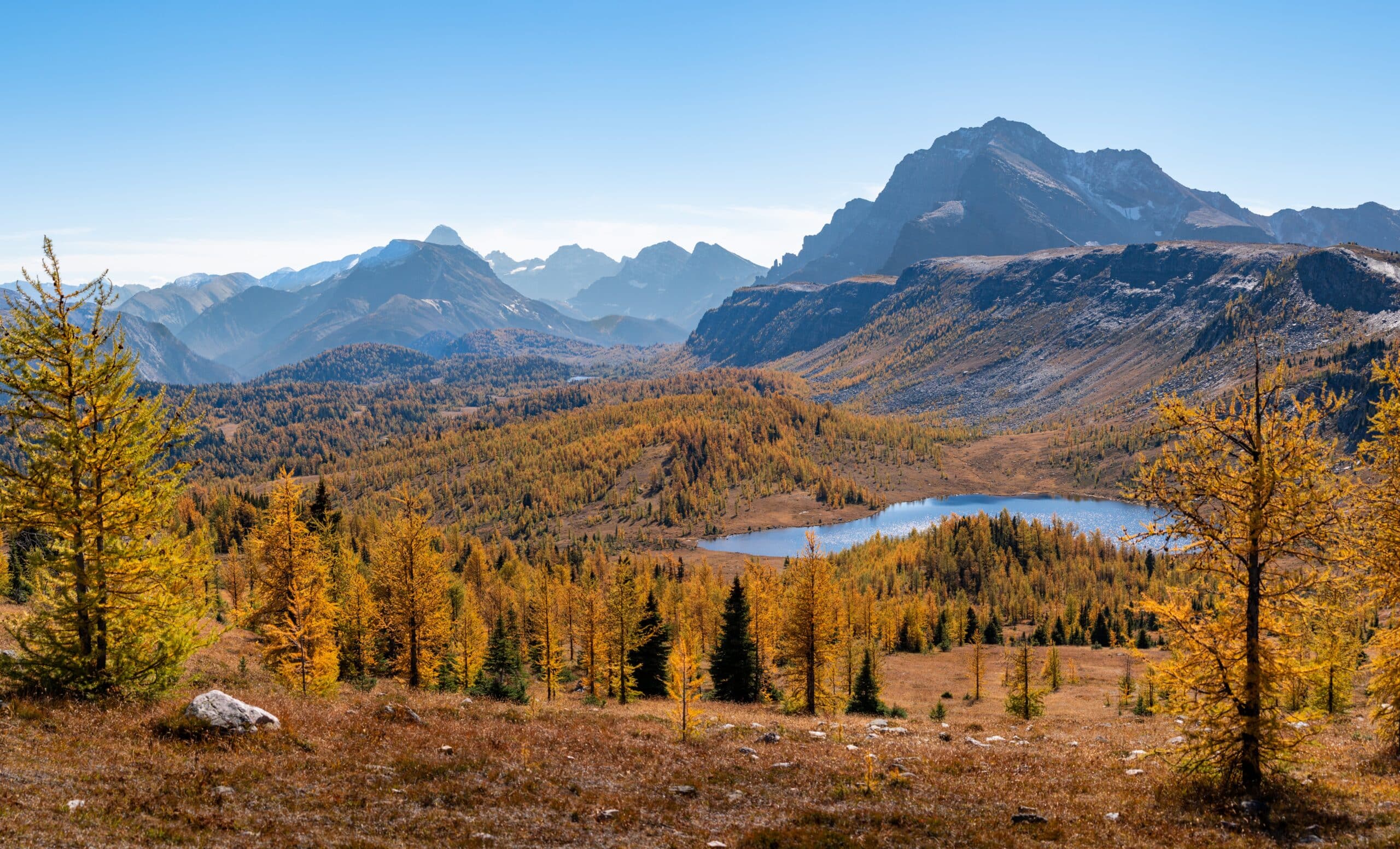 2023_HealyPass_Larch_Hike_RobertMassey (7)