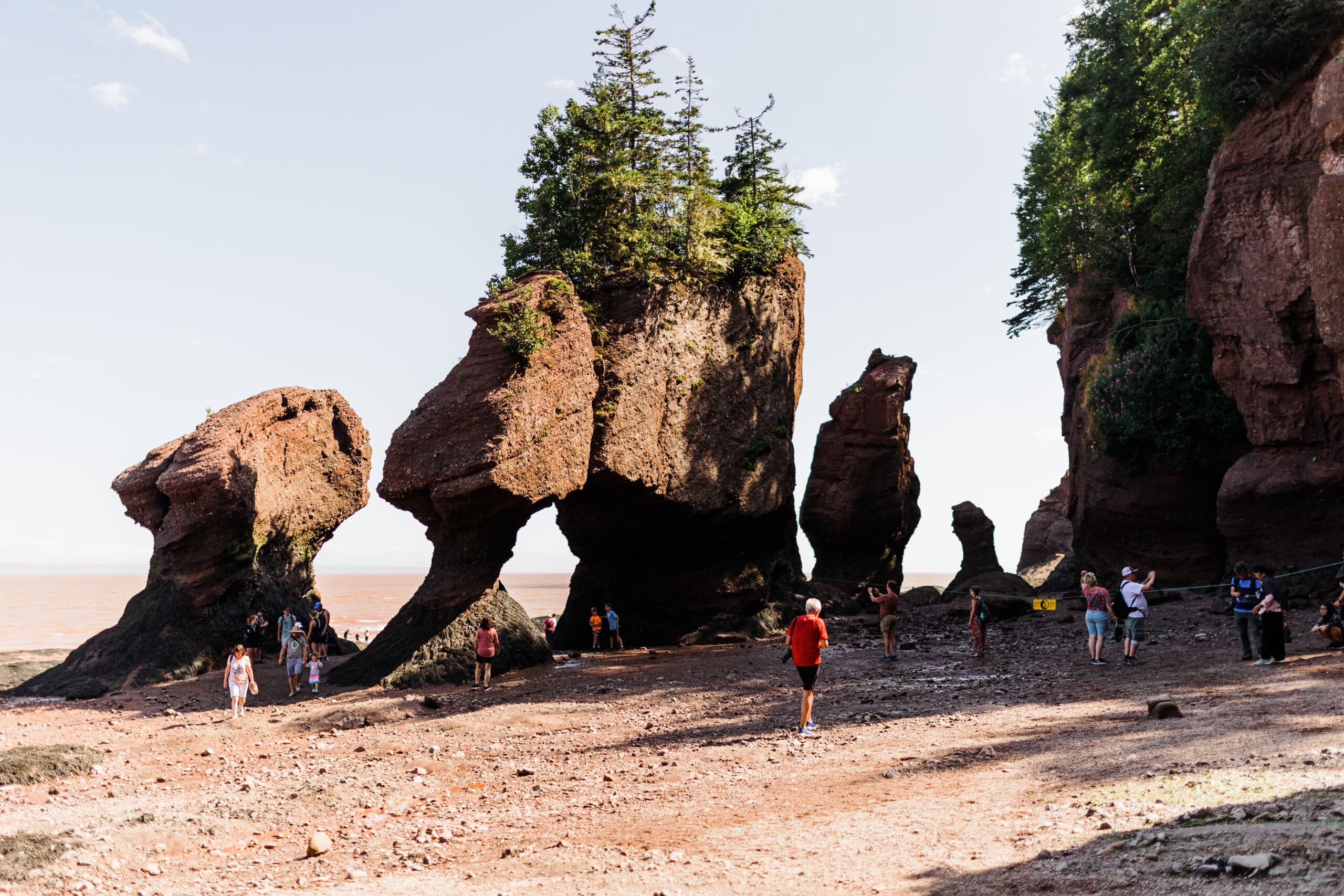 NB Hopewell Rocks