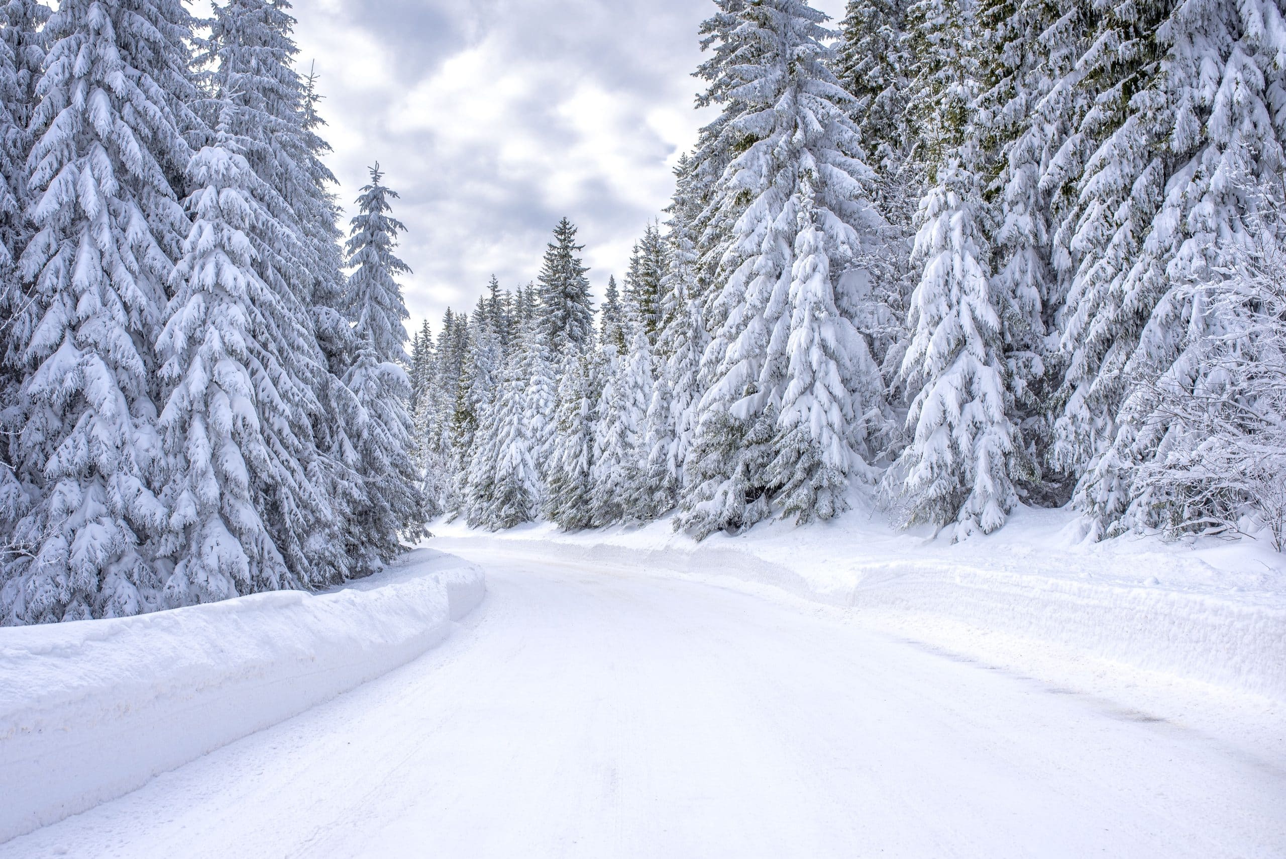 Winterevenementen in Canada